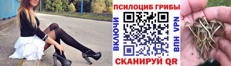 Галлюциногенные грибы мицелий Ростов